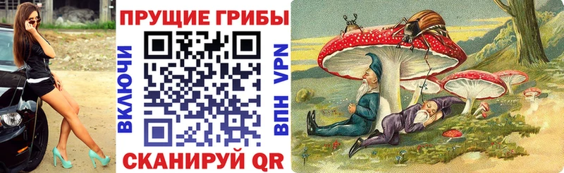 Галлюциногенные грибы мухоморы Купить закладки Светлый